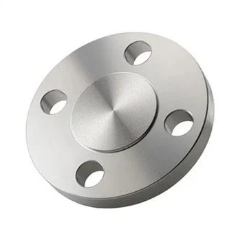 Forged Carbon Steel Stainless Steel Pipe Flanges